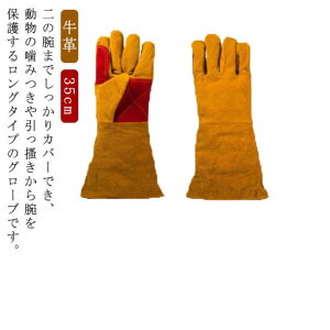 ybgO[u O ݂h~ ~  L ܐ؂ ঒  35cm bt ϋv v O[u L   X gg  ybg hn ˂hh~ C菝h~ 