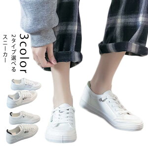 Xj[J[ 22.5cm`25cm fB[X 2^Cv zCg ubN   O[ C V[Y  킢 JWA V[Y ʊw ʋ d Vv WjA  t