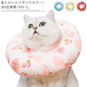 L  GUxXJ[ y p ی  D pEFA 畆a ܐ؂ 킢 ߉\ _炩 S6F h[ic ӂӂ