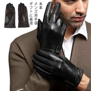 X}zΉ Y v U[O[u rWlX YO[u {v v rv N g Vv   IV jp Mtg v[g 蕨 