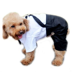  ^ p[X ybg { y^LV[h m  t 