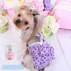 gCv[h ` _bNX }`[Y pc p