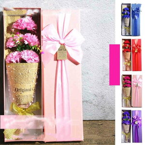 a \[vt[ J[l[V 5 ̓ \[vt[ j j v[g Mtg Ό o^C AWg