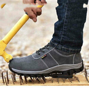 Y ʋC {v SC [NV[Y Xj[J[ [N} H y SC AEghA h@h~ ɂ  {vC ϋv