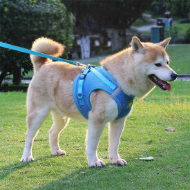 ドッグ ハーネス リード付 ペット服 犬用 犬 ウェアハーネス キャット メッシュ 一体型 胸あて式 軽量 小型犬 調節可能 胴輪 ペット用品 猫用首輪 猫/犬