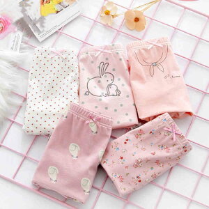 5Zbg  ̎q K[ {NT[pc peB  V[c LbY 5Zbg Ci[ ۈ牀 ct w