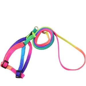 p  n[lX UR n[lX [h C{[ EJ^ 2_Zbg R rʂ^Cv ߉\ pi ObY