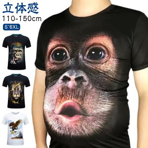 fB[X YN qǂ vg IE[^ TVc p[eB nEB l RXv 3D p[eB[ Aj} TVc ̊ 傫TCY Cxg Y  Ղ V