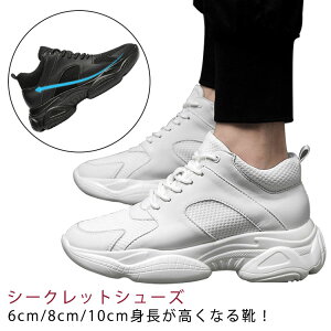 Xj[J[ 6cm gup V[Y V[Nbg 8cm 10cm Y Xj[J[ wȂC  Cq[ V[Y C K JWA ^C ʋCQ ₷ gAbv Vv V