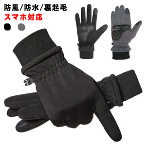  fB[X Y h h h N X}zΉ ׂ~ ]  ۉ  J ʋ ʊw ObY O[u t H ~ ] TCNOO[u ʋ ʊw AE