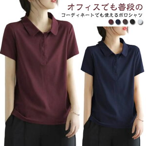 rWlX fB[X Jbg\[ ĕ t gbvX uvJbg  Xgb` n tVc |Vc Vv TVc |Vc  ꂢ H 傫TCY  킢 