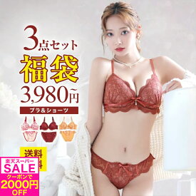 【最大半額!!&2000円OFFクーポン有】3/7再販!【楽天ランキング1位】送料無料★即日発送【福袋★ブラセット3点入】ブラジャー＆ショーツ3点組入り福袋