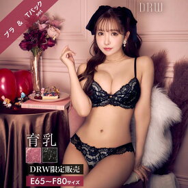 drw 即日発送 育乳ブラジャー 脇高ブラジャー ショーツ セット 三上悠亜下着 補正下着 シャルマン シアー ローズ 育乳 脇高 ブラジャー Tバック ショーツ 大きいサイズ ブラジャー ショーツ セット 脇肉 贅肉 盛りブラ ブラ セット