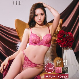 drw 即日発送 【3点SET】育乳ブラジャー 脇高ブラジャー ショーツ セット 補正下着 アリュール ヌーディー レース 育乳 脇高 ブラジャー フルバック &Tバック ショーツ 大きいサイズ ブラジャー ショーツ セット 脇肉 贅肉 盛りブラ ブラ セット 下着