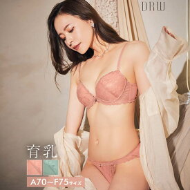 drw 即日発送 育乳ブラジャー 脇高ブラジャー ショーツ セット 補正下着 フラワー ジュエル 育乳 脇高 ブラジャー フルバック ショーツ ブラジャー ショーツ セット 脇肉 贅肉 盛りブラ ブラ セット 下着 レディース セット ランジェリー