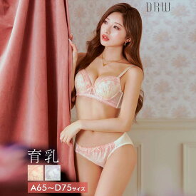 drw 即日発送 【数量限定10％OFF】育乳ブラジャー 脇高ブラジャー ショーツ セット 補正下着 パステル ドット ダイヤ 育乳 脇高 ブラジャー フルバック ショーツ 大きいサイズ ブラジャー ショーツ セット 脇肉 贅肉 盛りブラ ブラ セット 下着 レディース セット