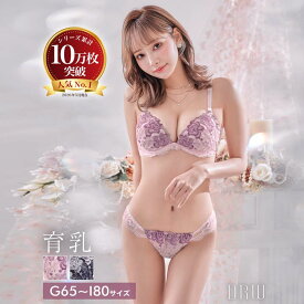 [GHIサイズ] ランジェリー 下着 レディース ブラジャー デイジーストア 即日発送 脇高 ショーツ ロマンティックベルローズ育乳脇高ブラジャー&バック透けフルバックショーツ