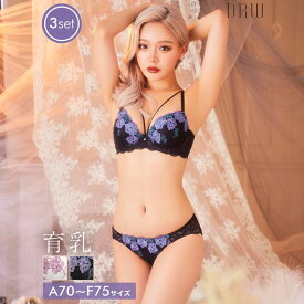 drw 【3点SET】育乳ブラジャー 脇高ブラジャー ショーツ セット 補正下着 アザレア フラワー コード 育乳 脇高 ブラジャー バック透け フルバック Tバック ショーツ 大きいサイズ ブラジャー ショーツ セット 脇肉 贅肉 盛りブラ ブラ セット 下着 レディース セット