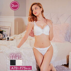 drw 即日発送 【数量限定10％OFF】【3点SET】育乳ブラジャー 脇高ブラジャー ショーツ セット 補正下着 カシュクール シアー レース 育乳 脇高 ブラジャー フルバック Tバック ショーツ 大きいサイズ ブラジャー ショーツ セット 脇肉 贅肉 盛りブラ ブラ セット 下着