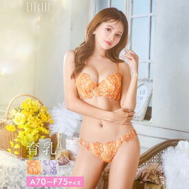 [楽天1位] ランジェリー 下着 レディース ブラジャー デイジーストア 即日発送 脇高 ショーツ !ブライトハイビスカス育乳脇高ブラジャー&フルバックショーツ