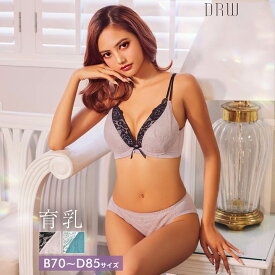 【楽天スーパーSALE10％OFF】育乳ブラジャー 脇高ブラジャー ショーツ セット 補正下着 シャルマン レース 育乳 脇高 ブラジャー フルバック ショーツ ブラジャー ショーツ セット 脇肉 贅肉 盛りブラ