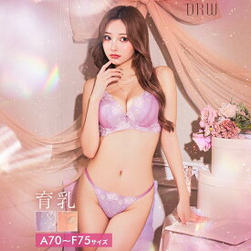 drw 即日発送 育乳ブラジャー 脇高ブラジャー ショーツ セット 補正下着 ラフィネ ローズ ベール 育乳 脇高 ブラジャー フルバック ショーツ 大きいサイズ ブラジャー ショーツ セット 脇肉 贅肉 盛りブラ ブラ セット 下着