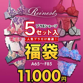 drw 即日発送 送料無料 福袋 レディース 下着 ブラジャー フルバック Tバック ショーツ 5セット入り 福袋[Reinest] |大きいサイズ 福袋 下着 セット 下着 レディース セット 福袋 ブラ ショーツ セット 福袋 ブラジャー ショーツ セット