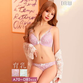 drw 即日発送 育乳ブラジャー 脇高ブラジャー ショーツ セット 補正下着 エアリー パピヨン フルール 育乳 脇高 ブラジャー フルバック ショーツ ブラジャー ショーツ セット 脇肉 贅肉 盛りブラ ブラ セット 下着 レディース セット