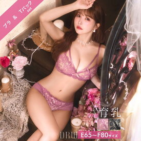 ＼即日配送／ 育乳ブラジャー 脇高ブラジャー ショーツ セット 補正下着 レーシィ アリュール コード育乳 脇高 ブラジャー & Tバック ショーツ 大きいサイズ ブラジャー ショーツ セット 脇肉 贅肉 盛りブラ ブラ セット 下着