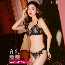 ヌーディーレース育乳脇高ブラジャー&サイド紐バック透けフルバックショーツ[setpt]