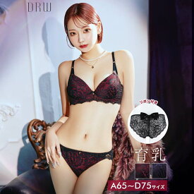 ゴシックディープリボン育乳脇高ブラジャー&バック透けフルバックショーツ[setpt]