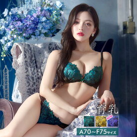 【11/11再販】ビビットフルールエンブロイダリー育乳脇高ブラジャー&フルバックショーツ[setpt]