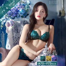 【11/11再販】ビビットフルールエンブロイダリー育乳脇高ブラジャー&Tバックショーツ[setpt]