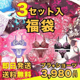 【11/15再販】【送料無料】 ブラジャー＆ショーツ3点組入り福袋 | [dazzy 下着 下着 下着 ドロー 下着 福袋 ブラジャー ショーツ セット 福袋 ]