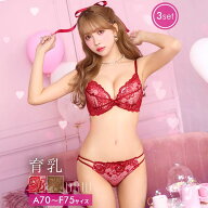 [三上悠亜着用] [3点セット] ランジェリー 下着 レディース ブラジャー デイジーストア 即日発送 脇高 シ…