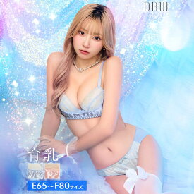 [EFサイズ]フェミニンサテンフルーレット育乳脇高ブラジャー&フルバックショーツ[setpt]