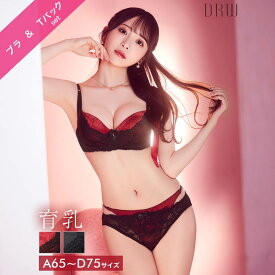 [かとゆり着用] ラグジュアリーサテンローズ育乳脇高ブラジャー&Tバックショーツ[setpt]