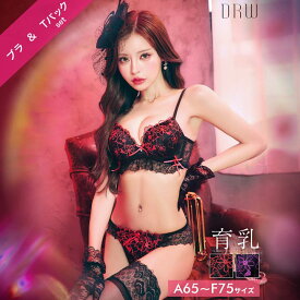9/17再販!【Tバック】 ランジェリー 下着 レディース ブラジャー デイジーストア 即日発送 脇高 ショーツ ダブルリボンメロウハート育乳脇高ブラジャー&バック透けTバックショーツ