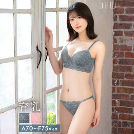 ダスティメッシュフルーロン育乳脇高ブラジャー&バック透けフルバックショーツ[setpt]