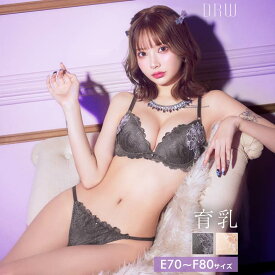 [EFサイズ] ミスティックレーシィピオニー育乳脇高ブラジャー&バック透けフルバックショーツ[setpt]