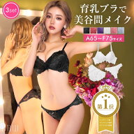 楽天1位[3点セット] マジックアップブラジャー&フルバックショーツ&Tバックショーツ [ dazzy デイジー 下…