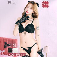 10/7新作!【3点セット】エレガントレースアップ育乳脇高ブラジャー&フルバック&Tバックショーツ