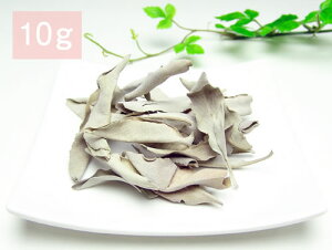 zCgZ[W JtHjAY 10gy7602-00-000-010zV VR p[Xg[