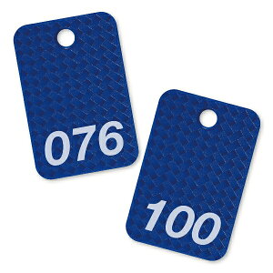 X`[ԍD 76~100  I[v BF-83-BU 25