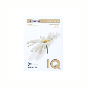 oCIgbvJ[A4 80g 500 ɓ BT500 zCg