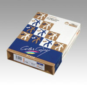 nCp[N 100g A4(500) ɓ HP511 i`zCg