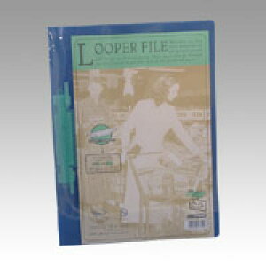 [p[t@C A4ES  qgu F-3006~g