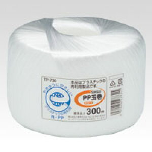 ^t[v 300m ϐ^ GR}[NTP-730