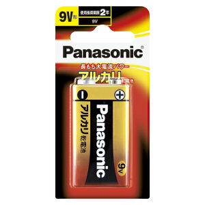 �A���J�����d�r �A���J���d�r 9V 1�u���X�^�[ �p�i�\�j�b�N 6LR61XJ/1B