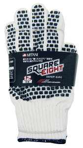 �X�N�G�A�G�C�g �~�^�jCP 202558 (#MW-S8)